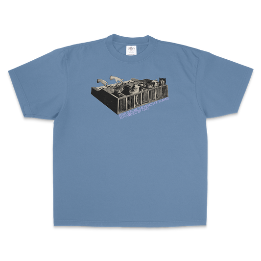 CAT POWER - T-SHIRT (extras)