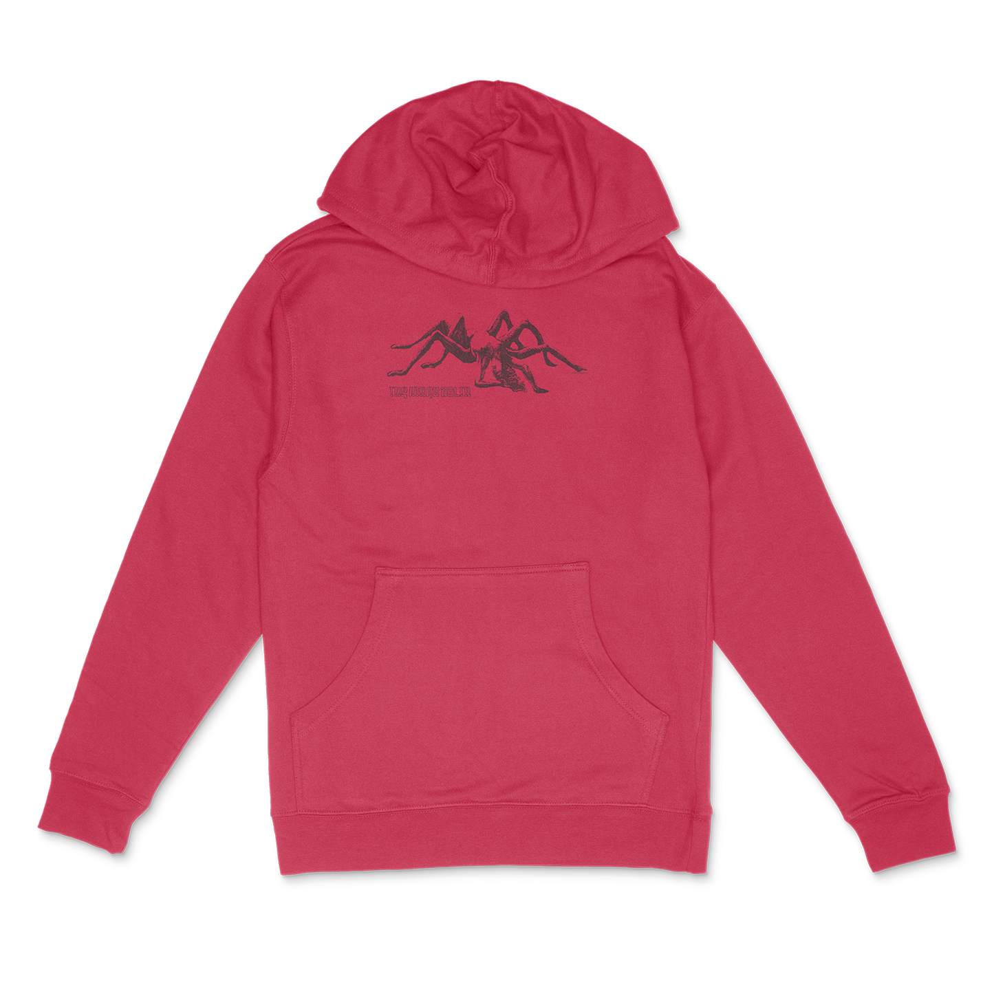 TARANTULA HOODIE *pre-order*